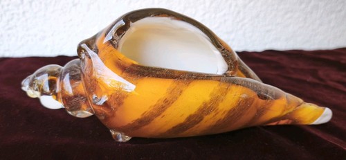 Große glasmuschel - große,