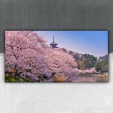 Kirsch Blüte in Japan 100x50