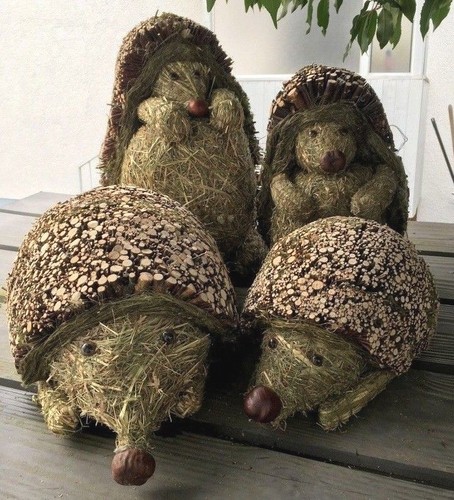 Igel familie 2x - 2x, +