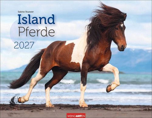 Islandpferde kalender 2027 - kalender, |