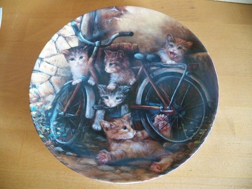Katze sammelteller katzen - sammelteller,