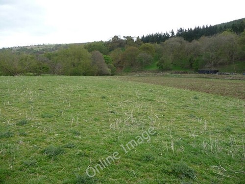 Foto 6x4 owain glyndwr - foto,