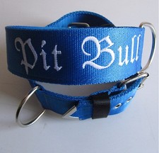 Nylonhalsband Pitbull