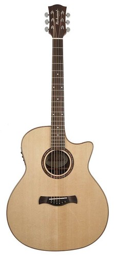 Richwood swg150ce akustik - swg150ce,