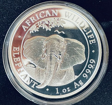 African Wildlife Elefant -