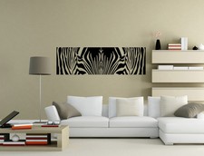 Zebra safari cool - zebra,
