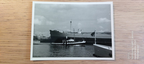 Foto passagierschiff hohwacht - passagierschiff,