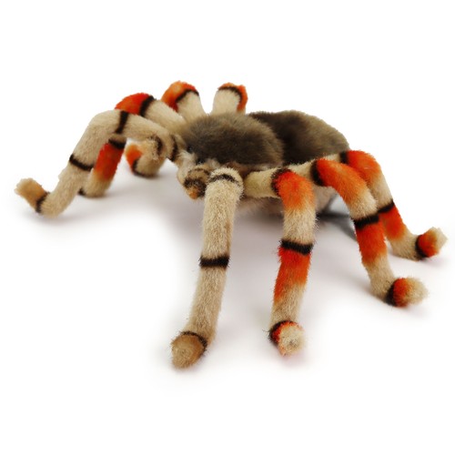 Plüsch vogelspinne 21cm - plüsch,
