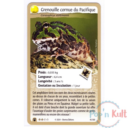 Nature protect challenges card - protect,