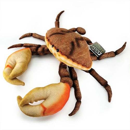 Plüsch krabbe 38cm krebs - 38cm,