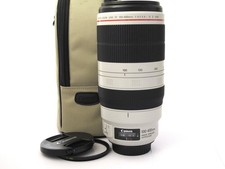 Canon EF 100-400mm 4.5-5.6 L