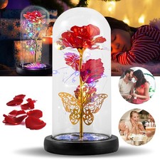 LED Galaxy Ewige Rose Im Glas