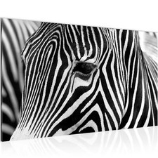 Wandbilder Wohnzimmer Afrika