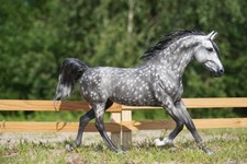 Breyer rh by Simone Methke