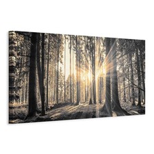 Artgeist Natur Wandbild Groß