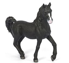 72134 Araber Hengst Pferd