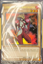 Elementar-HELD Burstinatrix