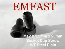 M12 x 1,5 x 25mm Stahl