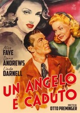 DVD NEU - Engel fiel (Ein)