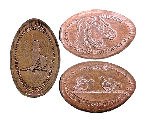 Bispingen wilsede 3x - ●,