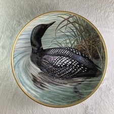 GREAT NORTHERN DIVER Plate