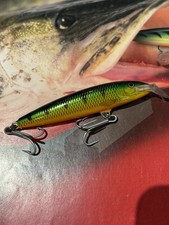 Rapala Floating Magnum 9 Perch
