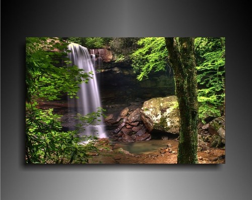 Bild aus der naturlandschaft - bild,