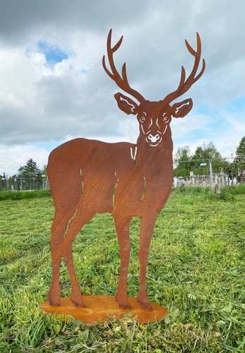 Hirsch nach vorne 117x66cm - , auf