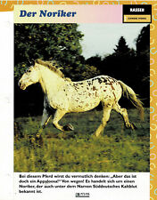Der Noriker (Schwere Pferde) - Infokarte