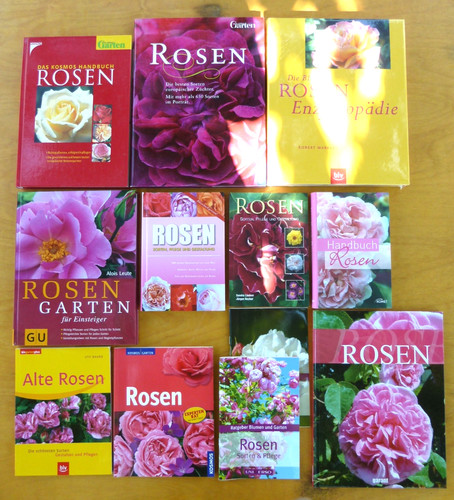 Rosen die besten alte - rosen:, besten/