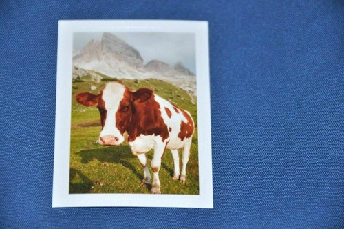 Rewe abenteuer tierwelt - abenteuer,