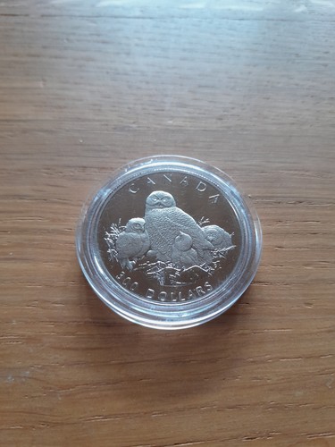 Platin 300 dollar - 1,