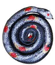 Große klebrige Natter 96 cm