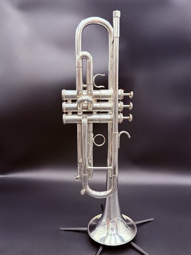 Getzen eterna large bore - large,