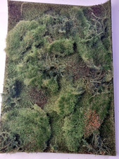 Polak 9812 Geländematte Waldbestand Variante B 27,5x20,5cm Handarbeit Unikat NEU