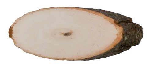 Holzschild holzbrett mit borke - holzschild/holzbrett,