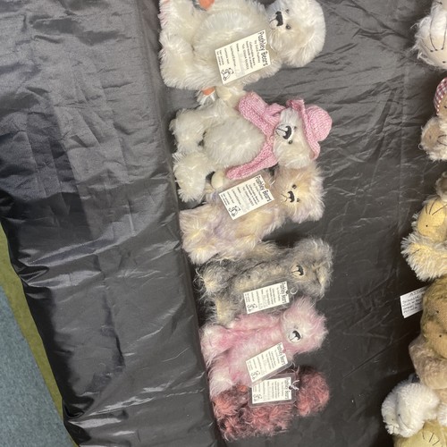 Pashley bears by - 6,