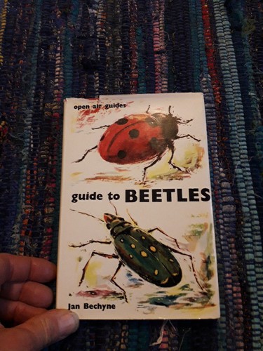 Guide colour to beetles - colour,