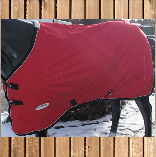Everline weidedecke fleece - everline,