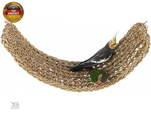 Vogel seegrasmatte papagei - vogel-seegrasmatte,