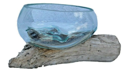 Wurzelholz glas schale deko - glas, m