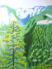 David hockney lithographie - david,