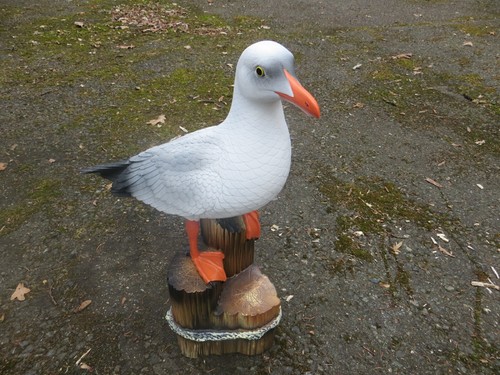 Möwe lebensgross cm - möwe,