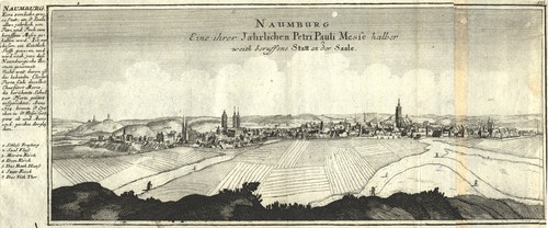 Naumburg original kupferstich - original,