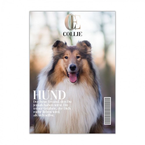 Collie schild dog hund magazin - collie,
