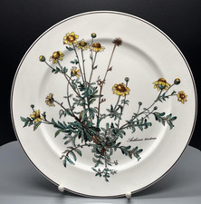 VILLEROY & BOCH BOTANICA 1 (von 8) Speiseteller ohne Wurzel  Ø 26 cm sehr gut