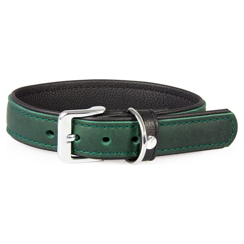 Das lederband hundehalsband - das,