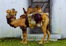 Kamel mit Gepäck für 9-10 cm