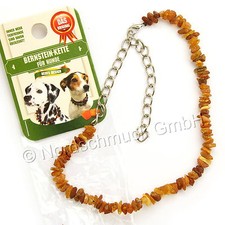 Bernsteinkette Hund Katze
