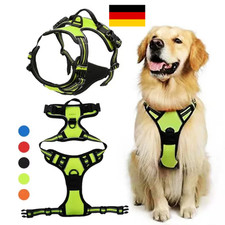 Hundegeschirr•Anti